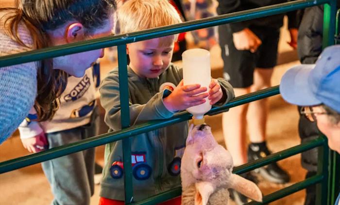 Cantref Adventure Farm